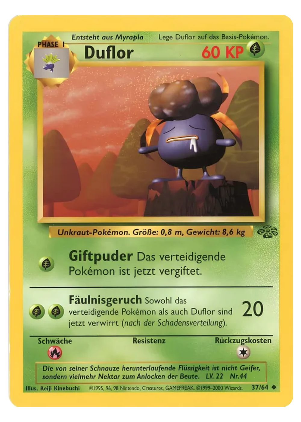Duflor (JU 37/64) - Grund (BASE): Dschungel - Good - Deutsch -tcgdex-de